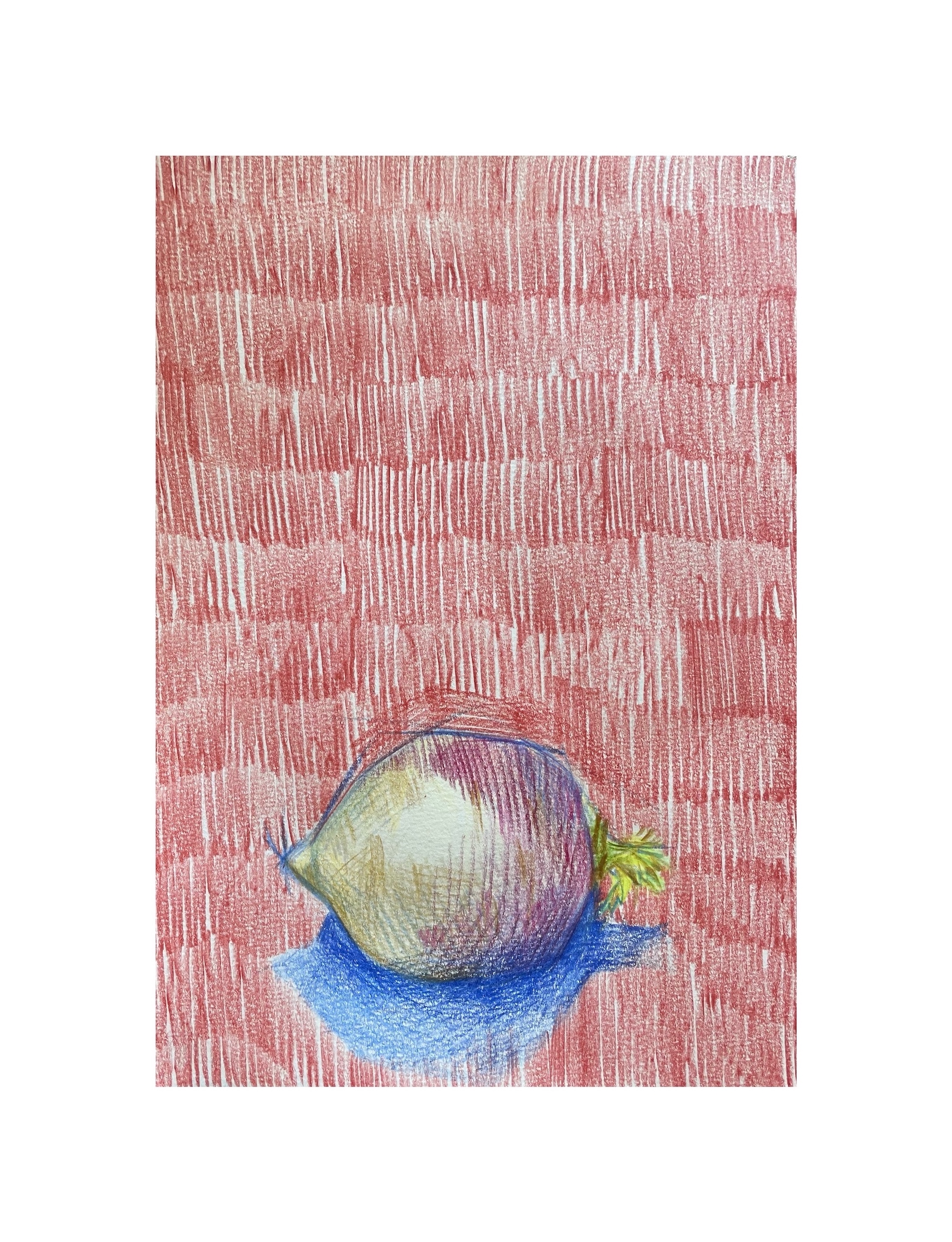 Turnip